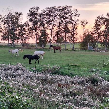 Js Feriendomizile Haus Abendrot Villa Hasselfelde Kültér fotó